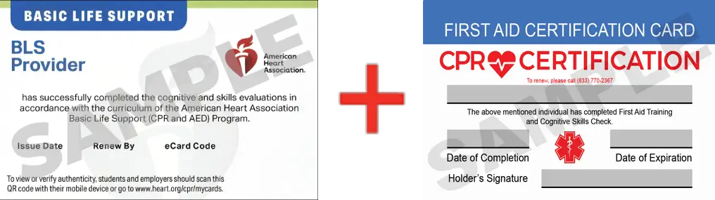 Sample American Heart Association AHA BLS CPR Card Certification and First Aid Certification Card from CPR Certification Alexandria
